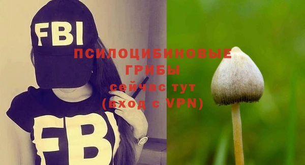 прущий лед Алексин