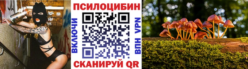KRAKEN как зайти Цимлянск Галлюциногенные грибы GOLDEN TEACHER